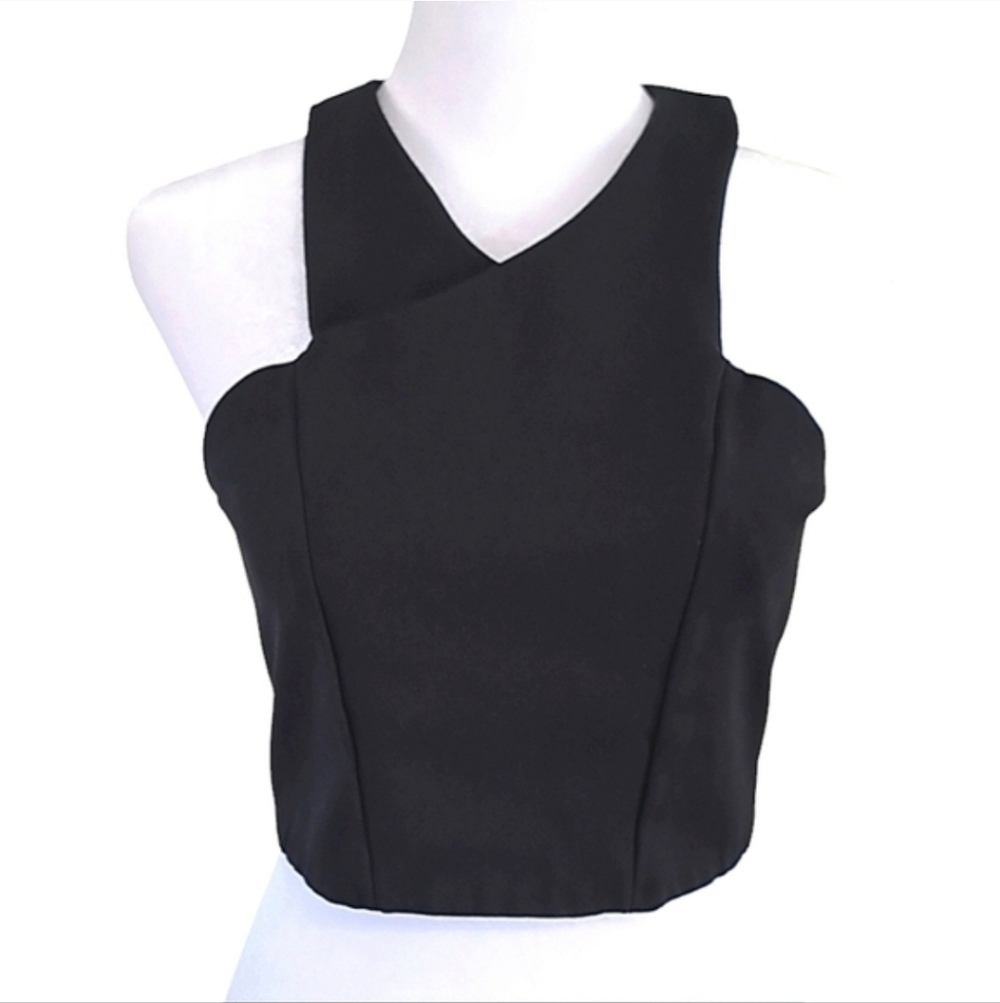 Express Black Sleeveless Bustier Style Top Zip Back Size Medium - Picture 6 of 7